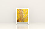 Load image into Gallery viewer, Combo 2: TEJO 2x3 + NILO 2P (YELLOW LEAF)

